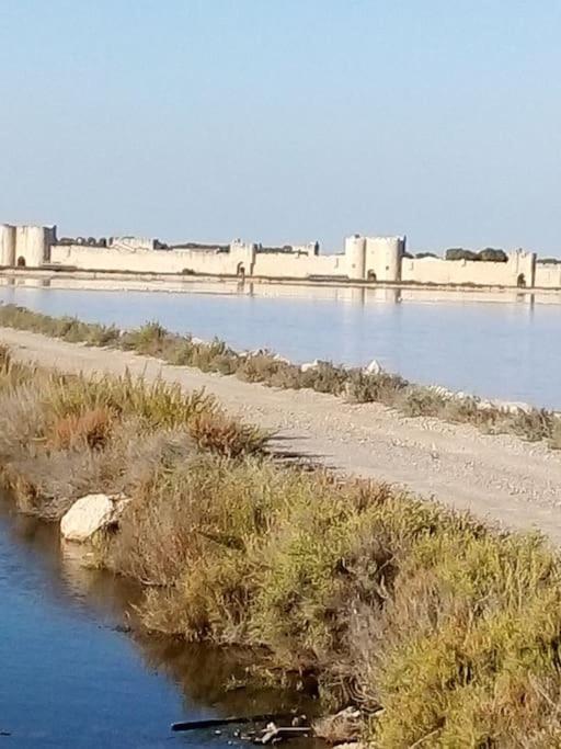 Aigues Mortes Studio De Vacances En Camargue Luaran gambar
